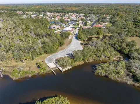 View/Area - 1805 Mountain Ash Way, Trinity, FL 34655 photo 11 of 12