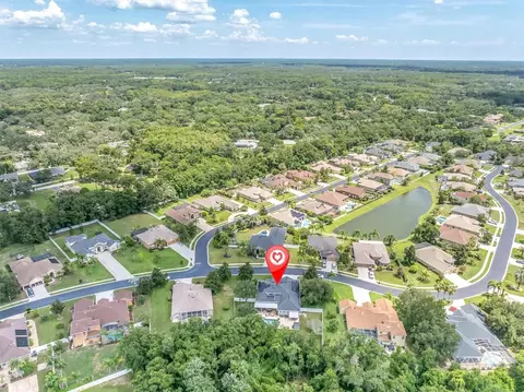 View/Area - 1805 Mountain Ash Way, Trinity, FL 34655 photo 3 of 12