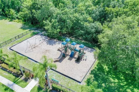View/Area - 1805 Mountain Ash Way, Trinity, FL 34655 photo 7 of 12