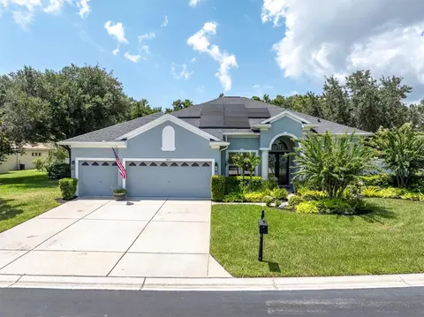 Exterior - 1805 Mountain Ash Way, Trinity, FL 34655 photo 18 of 20