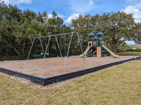 Exterior - 1805 Mountain Ash Way, Trinity, FL 34655 photo 19 of 20