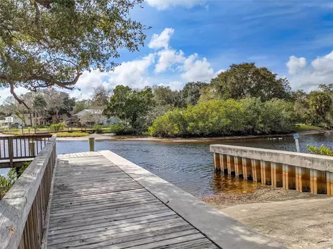 View/Area - 1805 Mountain Ash Way, Trinity, FL 34655 photo 9 of 12