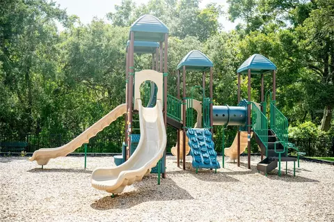 View/Area - 1805 Mountain Ash Way, Trinity, FL 34655 photo 6 of 12