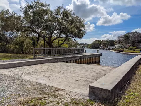 View/Area - 1805 Mountain Ash Way, Trinity, FL 34655 photo 8 of 12