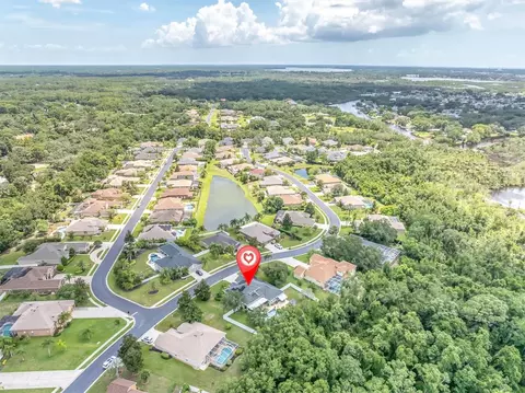 View/Area - 1805 Mountain Ash Way, Trinity, FL 34655 photo 4 of 12