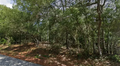 0 Todd Trl, Spring Hill, FL 34610 photo 3