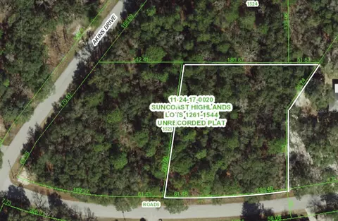 0 Todd Trl, Spring Hill, FL 34610 photo 2