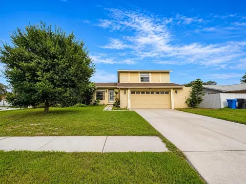 14705 Penguin Pl, Tampa, FL 33625