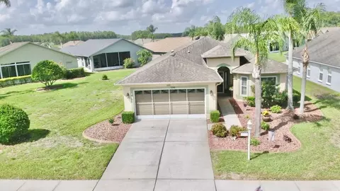View/Area - 1146 Dustan Pl, Trinity, FL 34655 photo 3 of 4