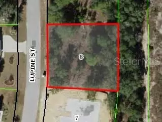 16 Lupine St, Homosassa, FL 34446
