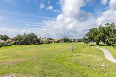 Other - 10628 Pontofino Cir, Trinity, FL 34655 photo 14 of 23