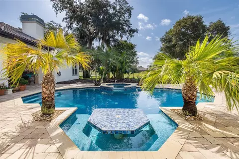Exterior - 10628 Pontofino Cir, Trinity, FL 34655 photo 7 of 24