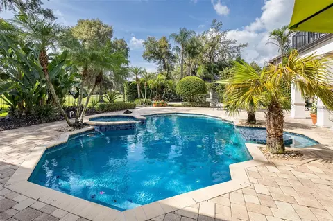 Exterior - 10628 Pontofino Cir, Trinity, FL 34655 photo 8 of 24