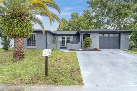 9203 Greenbriar Ln, Port Richey, FL 34668