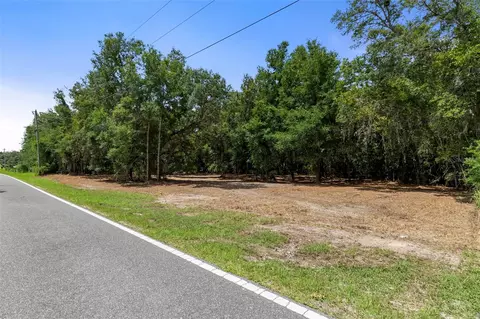 Wheystone Drive, Webster, FL 33597 photo 3