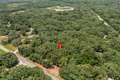 Wheystone Drive, Webster, FL 33597 photo 9