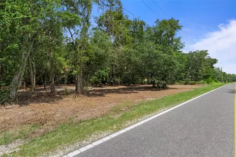 Wheystone Drive, Webster, FL 33597 photo 4