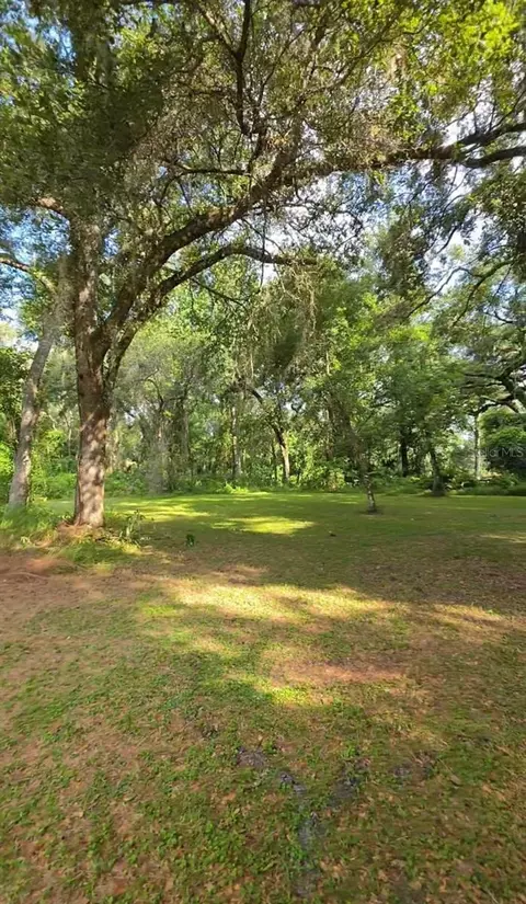 Exterior - 3415 Cr 679, Webster, FL 33597 photo 6 of 6
