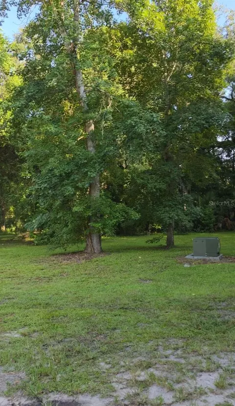 Other - 3415 Cr 679, Webster, FL 33597 photo 3 of 7