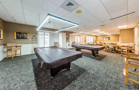 View/Area - 1553 Arlington Oaks Ct, New Port Richey, FL 34655 photo 15 of 30