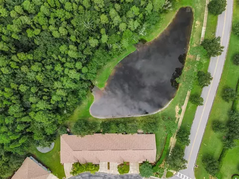 View/Area - 1553 Arlington Oaks Ct, New Port Richey, FL 34655 photo 1 of 30