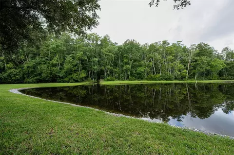 View/Area - 1553 Arlington Oaks Ct, New Port Richey, FL 34655 photo 8 of 30