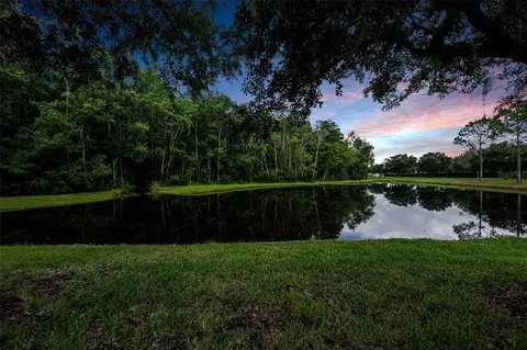 View/Area - 1553 Arlington Oaks Ct, New Port Richey, FL 34655 photo 4 of 30