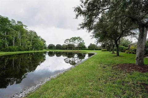 View/Area - 1553 Arlington Oaks Ct, New Port Richey, FL 34655 photo 10 of 30