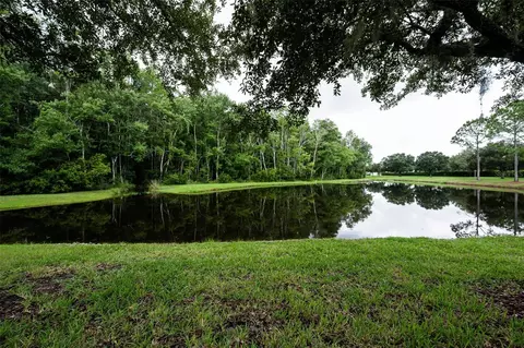 View/Area - 1553 Arlington Oaks Ct, New Port Richey, FL 34655 photo 5 of 30