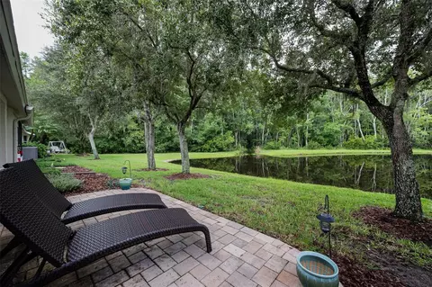 Exterior - 1553 Arlington Oaks Ct, New Port Richey, FL 34655 photo 10 of 25
