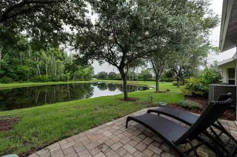 Exterior - 1553 Arlington Oaks Ct, New Port Richey, FL 34655 photo 9 of 25