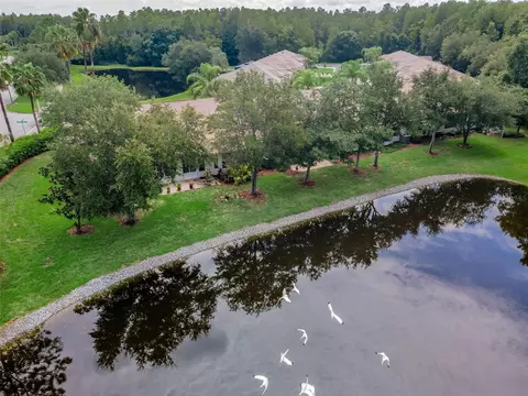 View/Area - 1553 Arlington Oaks Ct, New Port Richey, FL 34655 photo 6 of 30