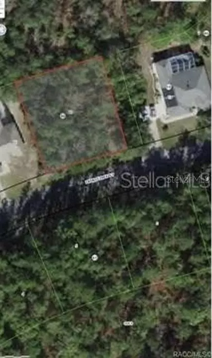 38 Fringetree St, Homosassa, FL 34446