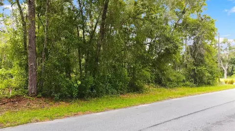 6982 N Palmer Way, Hernando, FL 34442 photo 2