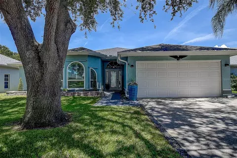 1105 Clippers Way, Tarpon Springs, FL 34689