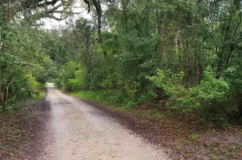 0 Lucilles Shady Ln, Nobleton, FL 34661 photo 10
