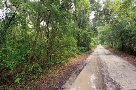 0 Lucilles Shady Ln, Nobleton, FL 34661 photo 6