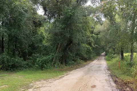 0 Lucilles Shady Ln, Nobleton, FL 34661 photo 5