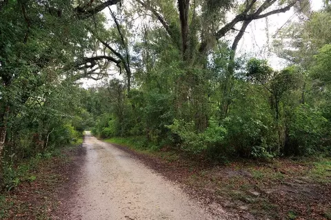 0 Lucilles Shady Ln, Nobleton, FL 34661 photo 8