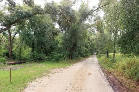 0 Lucilles Shady Ln, Nobleton, FL 34661 photo 3