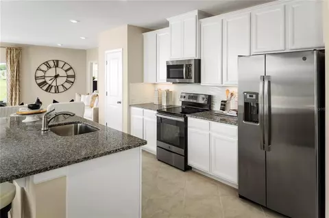 2228 Scenic Park Loop, Wimauma, FL 33598 photo 8