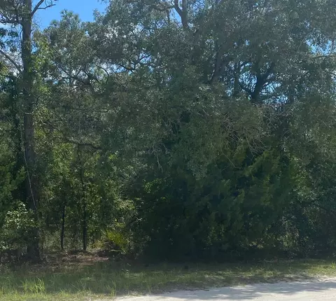Peaceful Avenue, Weeki Wachee, FL 34614