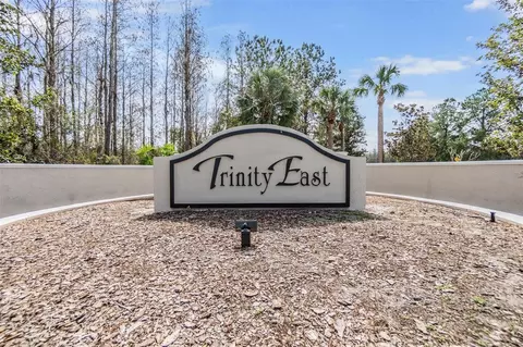 Other - 1016 Ketzal Dr, Trinity, FL 34655 photo 6 of 7