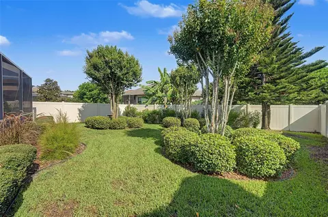Exterior - 1016 Ketzal Dr, Trinity, FL 34655 photo 9 of 9