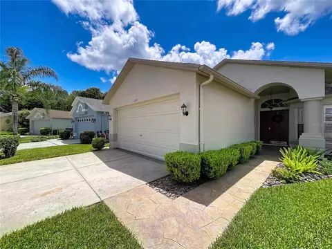 Exterior - 1017 Sweet Jasmine Dr, Trinity, FL 34655 photo 2 of 4