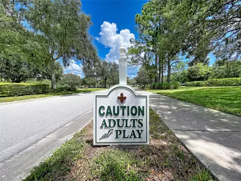 View/Area - 1017 Sweet Jasmine Dr, Trinity, FL 34655 photo 9 of 9