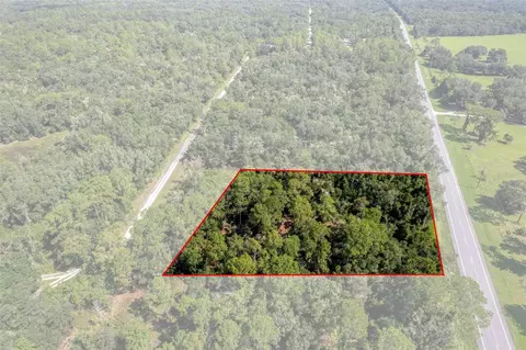 0 Treiman Blvd, Webster, FL 33597 photo 2