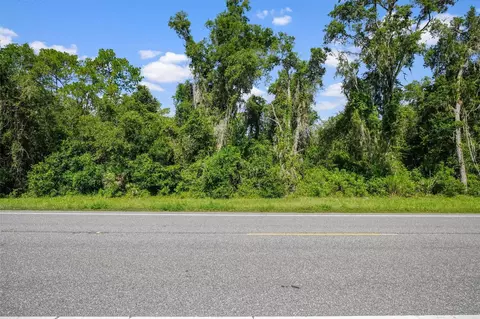 0 Treiman Blvd, Webster, FL 33597 photo 4