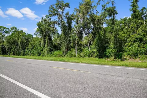 0 Treiman Blvd, Webster, FL 33597 photo 5