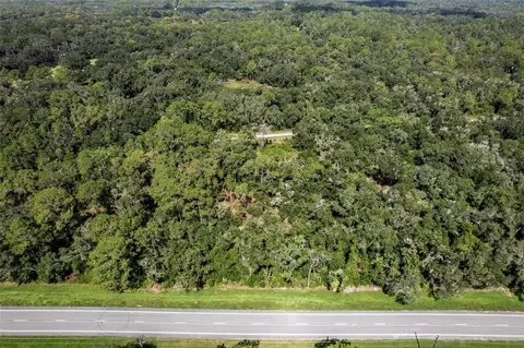 0 Treiman Blvd, Webster, FL 33597 photo 7